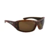 Lunettes Flottantes Jetpilot Nomad Brown/tortise