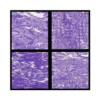 Tapis Hydro-Turf En Rouleau Purple Marble